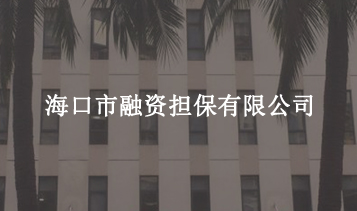 ?？谑腥谫Y擔(dān)保有限公司